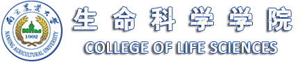 纽约国际588888线路检测中心